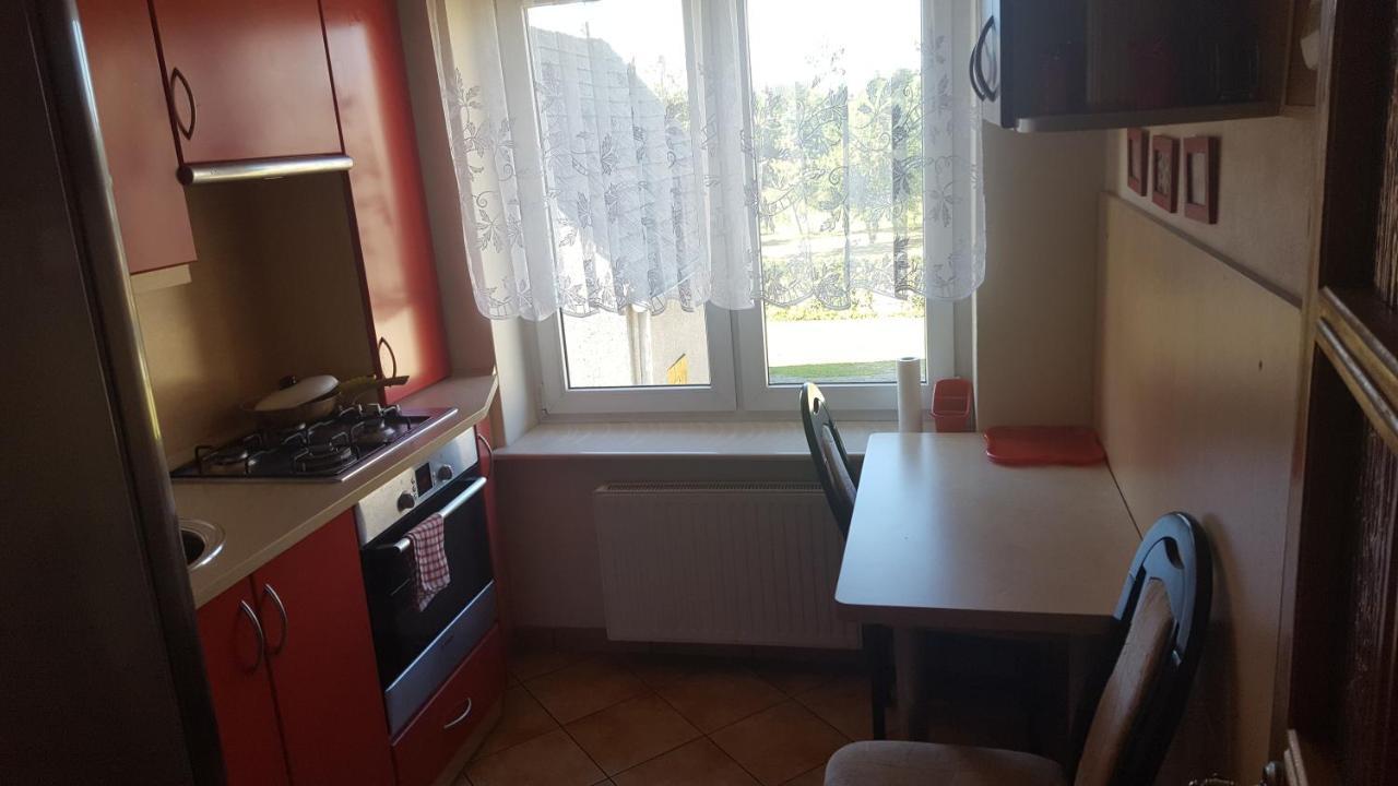 Roza Apartment Zelistrzewo ภายนอก รูปภาพ