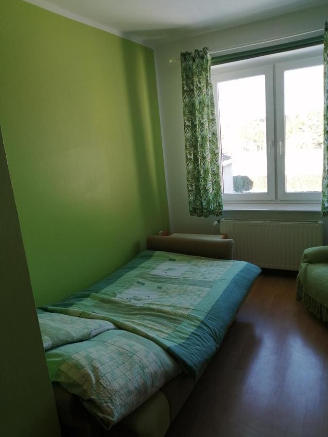 Roza Apartment Zelistrzewo ภายนอก รูปภาพ